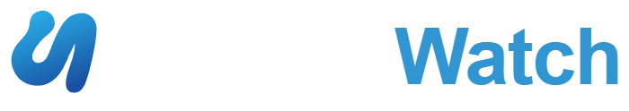 Apiges Watch